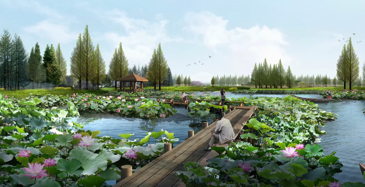 来安县池杉湖湿地生态环境保护及配套设施建设工程动画