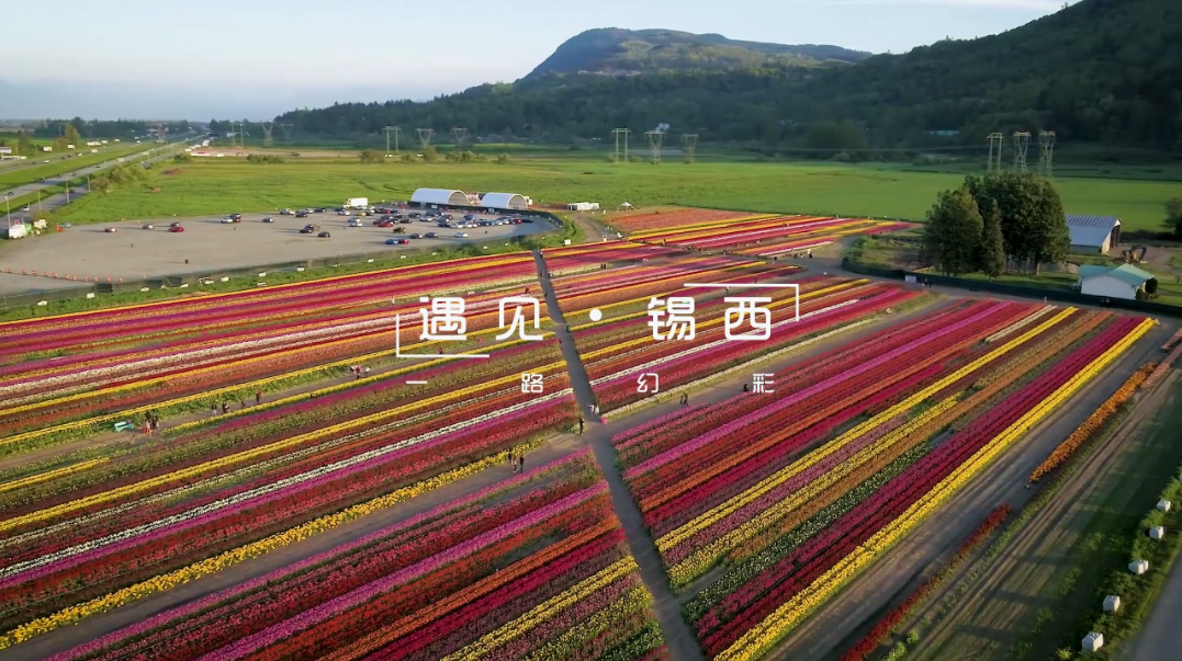 《遇见•锡西》主题汇报片宣传片宣传视频