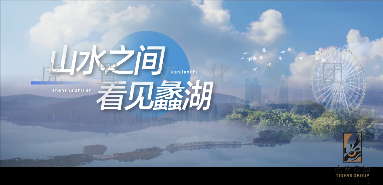 蠡湖街道招商宣传片企业宣传片宣传视频-上海虎置